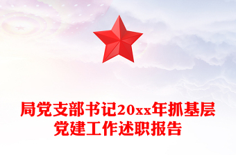 局党支部书记20xx年抓基层党建工作述职报告