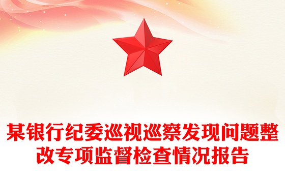 某银行纪委巡视巡察发现问题整改专项监督检查情况报告