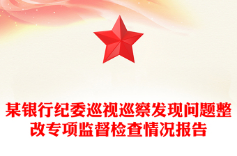 某银行纪委巡视巡察发现问题整改专项监督检查情况报告