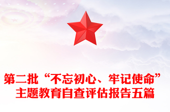 第二批“不忘初心、牢记使命”主题教育自查评估报告五篇