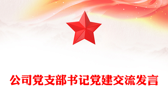 公司党支部书记党建交流发言