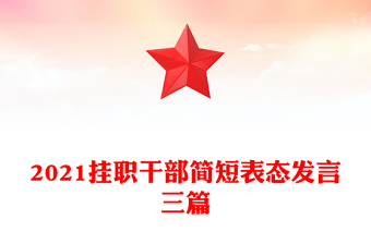 2021挂职干部简短表态发言三篇