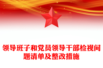 领导班子和党员领导干部检视问题清单及整改措施