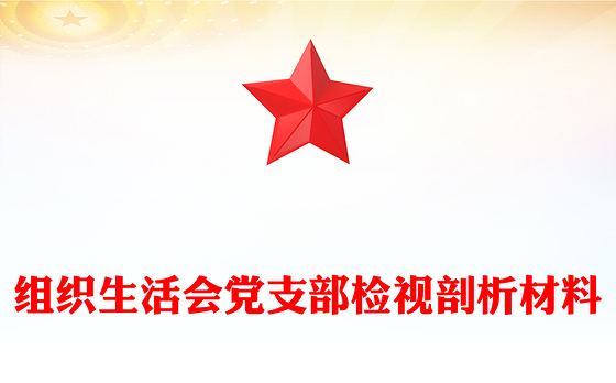 组织生活会党支部检视剖析材料