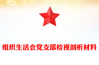 组织生活会党支部检视剖析材料