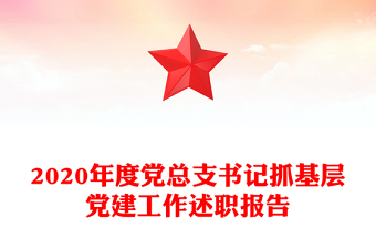 2020年度党总支书记抓基层党建工作述职报告