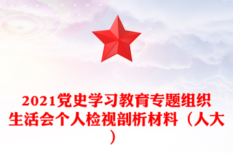 2021党史学习教育专题组织生活会个人检视剖析材料（人大）