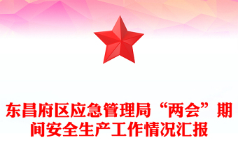 东昌府区应急管理局“两会”期间安全生产工作情况汇报