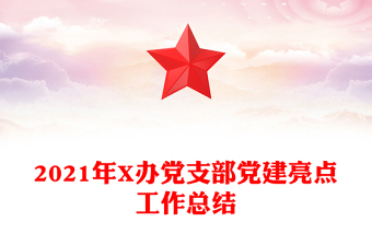 2021年X办党支部党建亮点工作总结