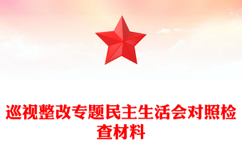 巡视整改专题民主生活会对照检查材料