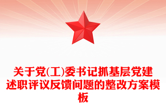 关于党(工)委书记抓基层党建述职评议反馈问题的整改方案模板