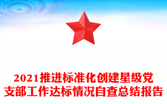 2021推进标准化创建星级党支部工作达标情况自查总结报告