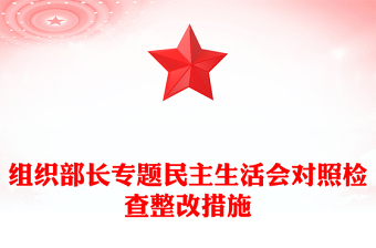 组织部长专题民主生活会对照检查整改措施