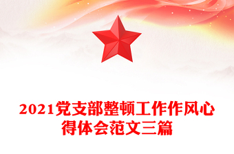 2021党支部整顿工作作风心得体会范文三篇