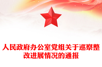 人民政府办公室党组关于巡察整改进展情况的通报
