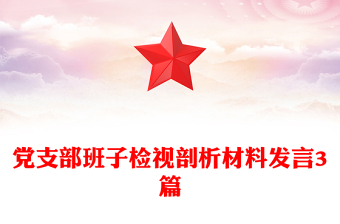 党支部班子检视剖析材料发言3篇