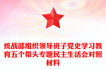 统战部组织领导班子党史学习教育五个带头专题民主生活会对照材料