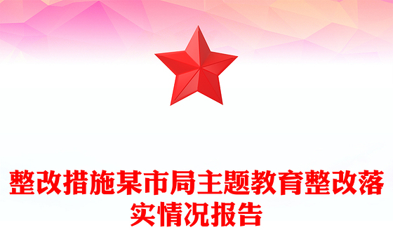 整改措施某市局主题教育整改落实情况报告