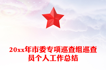 20xx年市委专项巡查组巡查员个人工作总结