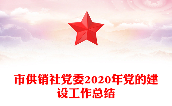 市供销社党委2020年党的建设工作总结