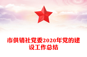 市供销社党委2020年党的建设工作总结