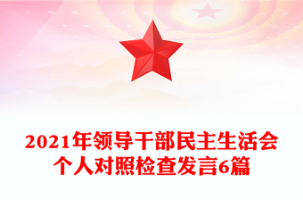 领导班子民主生活会意见建议