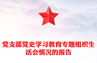 党支部党史学习教育专题组织生活会情况的报告