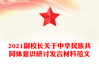 2021副校长关于中华民族共同体意识研讨发言材料范文