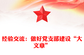 经验交流：做好党支部建设“大文章”