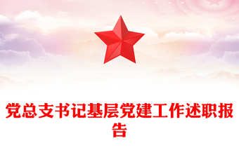 党总支书记基层党建工作述职报告