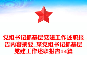 党组书记抓基层党建工作述职报告内容摘要_某党组书记抓基层党建工作述职报告14篇