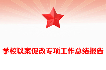 学校以案促改专项工作总结报告