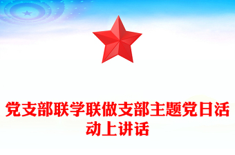 2023支部主题党日活动党员述职