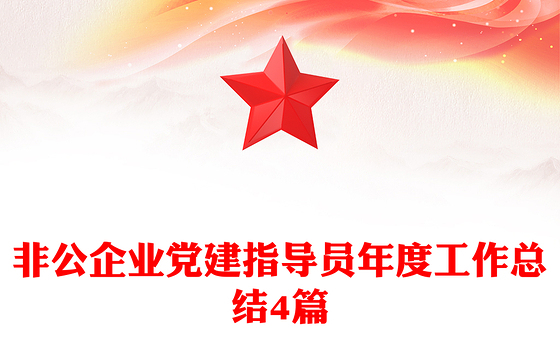 非公企业党建指导员年度工作总结4篇