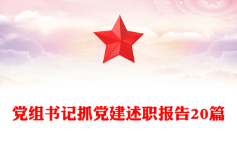 抓党建述职报告