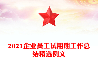 2021企业员工试用期工作总结精选例文