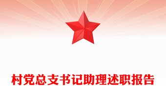 村党总支书记助理述职报告
