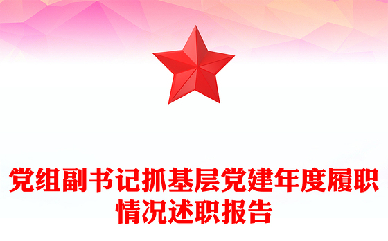党组副书记抓基层党建年度履职情况述职报告