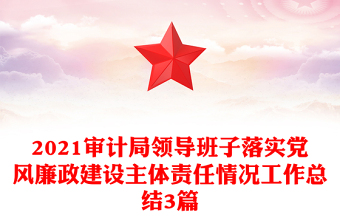 2021审计局领导班子落实党风廉政建设主体责任情况工作总结3篇