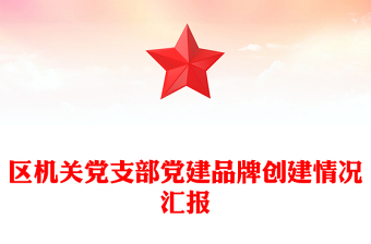 区机关党支部党建品牌创建情况汇报