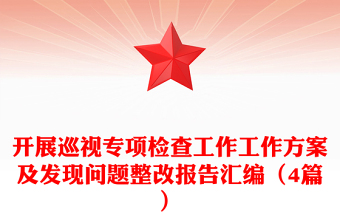 开展巡视专项检查工作工作方案及发现问题整改报告汇编（4篇）