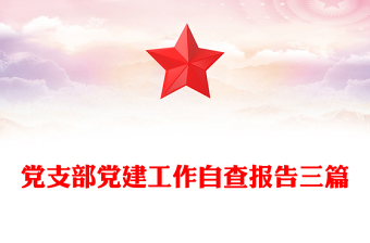 党支部党建工作自查报告三篇