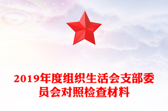 2019年度组织生活会支部委员会对照检查材料