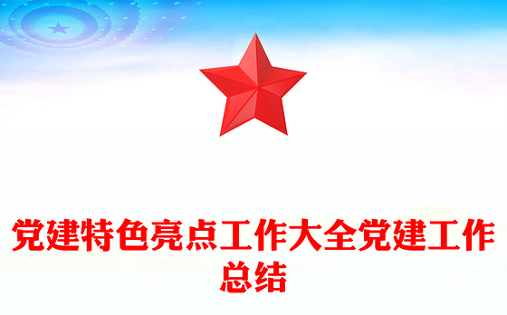 党建特色亮点工作大全党建工作总结