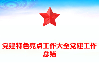 党建特色亮点工作大全党建工作总结