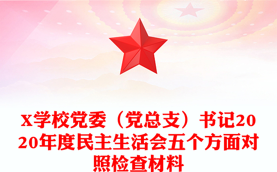 X学校党委（党总支）书记2020年度民主生活会五个方面对照检查材料