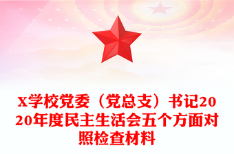 X学校党委（党总支）书记2020年度民主生活会五个方面对照检查材料