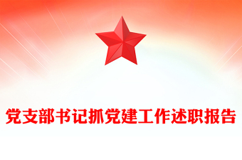 党支部书记抓党建工作述职报告