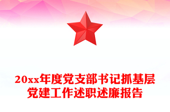 20xx年度党支部书记抓基层党建工作述职述廉报告
