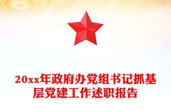 20xx年政府办党组书记抓基层党建工作述职报告